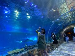 -华夏文旅海洋公园