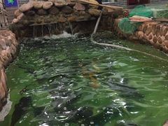 -小北江河鲜(新城店)