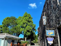 -鼓岭旅游度假区