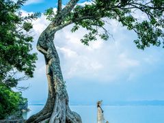 -抚仙湖禄充风景区