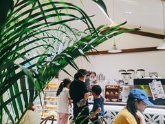 -椰椰大吉(海城店)