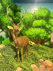 -酷嗒动物文化乐园(cutezoo西溪乐天城店)