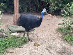 -广州长隆飞鸟乐园
