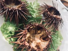 -老虎滩船说·海胆水饺·大连海鲜(老虎滩店)