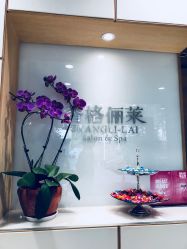 点击看大图 -CARR SALON