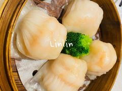 -老广新意(奥园店)