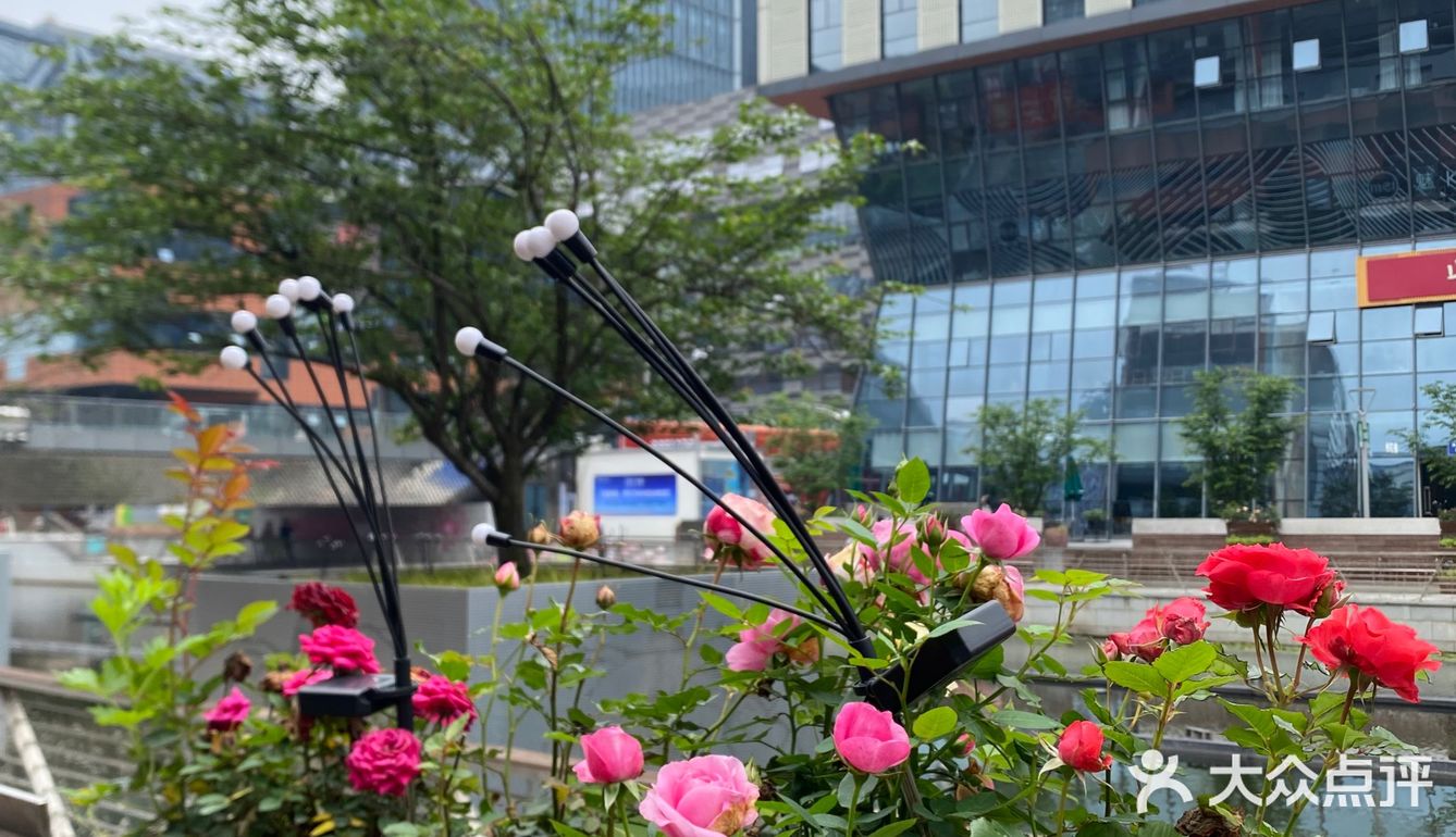 那时候还是抵用券的活动,人均几十上班吃的午餐