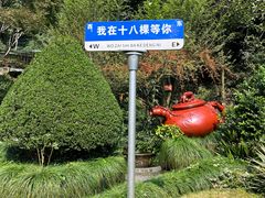 -十八棵（老龙井）御茶园(老龙井店)
