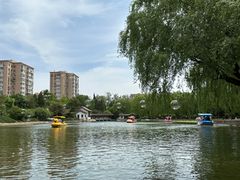 -团结湖公园