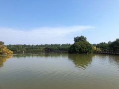 -大湾区中央湿地公园