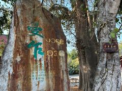 -西双版纳傣族园