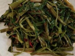 飞天空心菜-苏梅花园(群星城店)