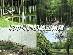 -艾溪湖湿地公园