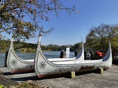 -田野绿世界