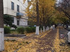 -山东师范大学(千佛山校区)