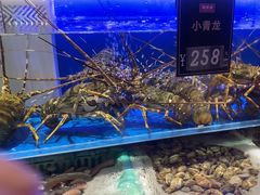 -同庆楼(天鹅酒家店)