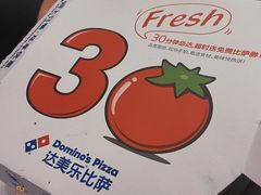 -达美乐比萨(武定店)