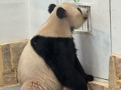 -无锡动物园·太湖欢乐园