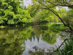 -上海共青森林公园