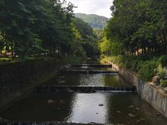 -广州白江湖森林公园