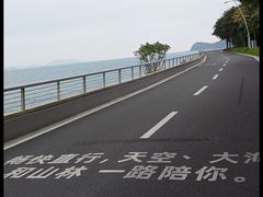-杨梅坑