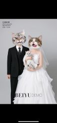 -北遇映画PHOTO GRAPHY STUDIO