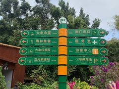 -野象谷景区