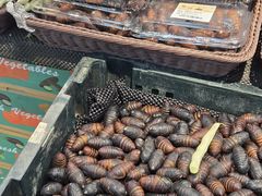 -家家悦超市(乳山银滩海之缘店)