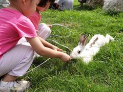 -洪湖家庭农场·团建·露营·会议