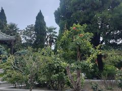 -开封包公祠