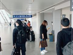 -合肥新桥国际机场-航站楼