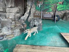 -横道河子东北虎林园