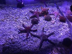 -波塞冬旅游度假区