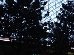 -红星美凯龙国际家居博览中心至尊mall停车场