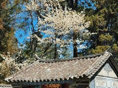 -寂照庵