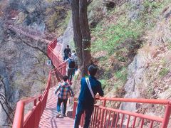 -陕西省红河谷森林公园