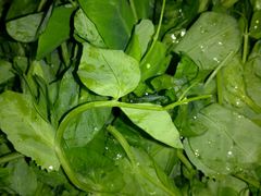 -黔蘑菇四季餐厅(观山湖店)