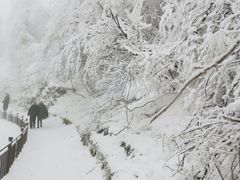 -峨眉山风景名胜区