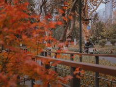 -月湖风景区