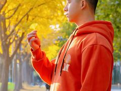 -三里屯东五街银杏大道