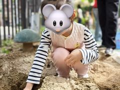 -井德幼儿园(韦伯豪园)