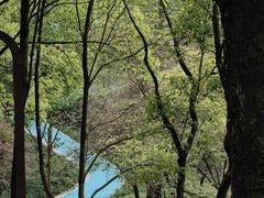 -重庆彩云湖湿地公园