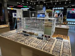 -棱石眼镜(CP静安店)