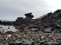 -龙头岩(Dragon Head Rock)