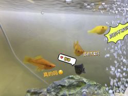 -唤颜美容·养生按摩SPA