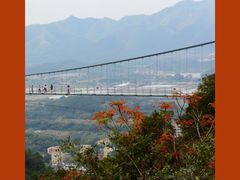 -南丹山森林王国