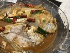 -梅子大排档