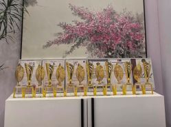 -紫琪尔胸部养护中心
