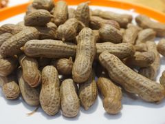 盐水花生壳-杨氏青龙虾·羊蝎子(金盛路总店)