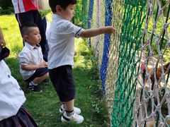 -玛利娅蒙特梭利双语幼儿园·托育(百家湖直营园)